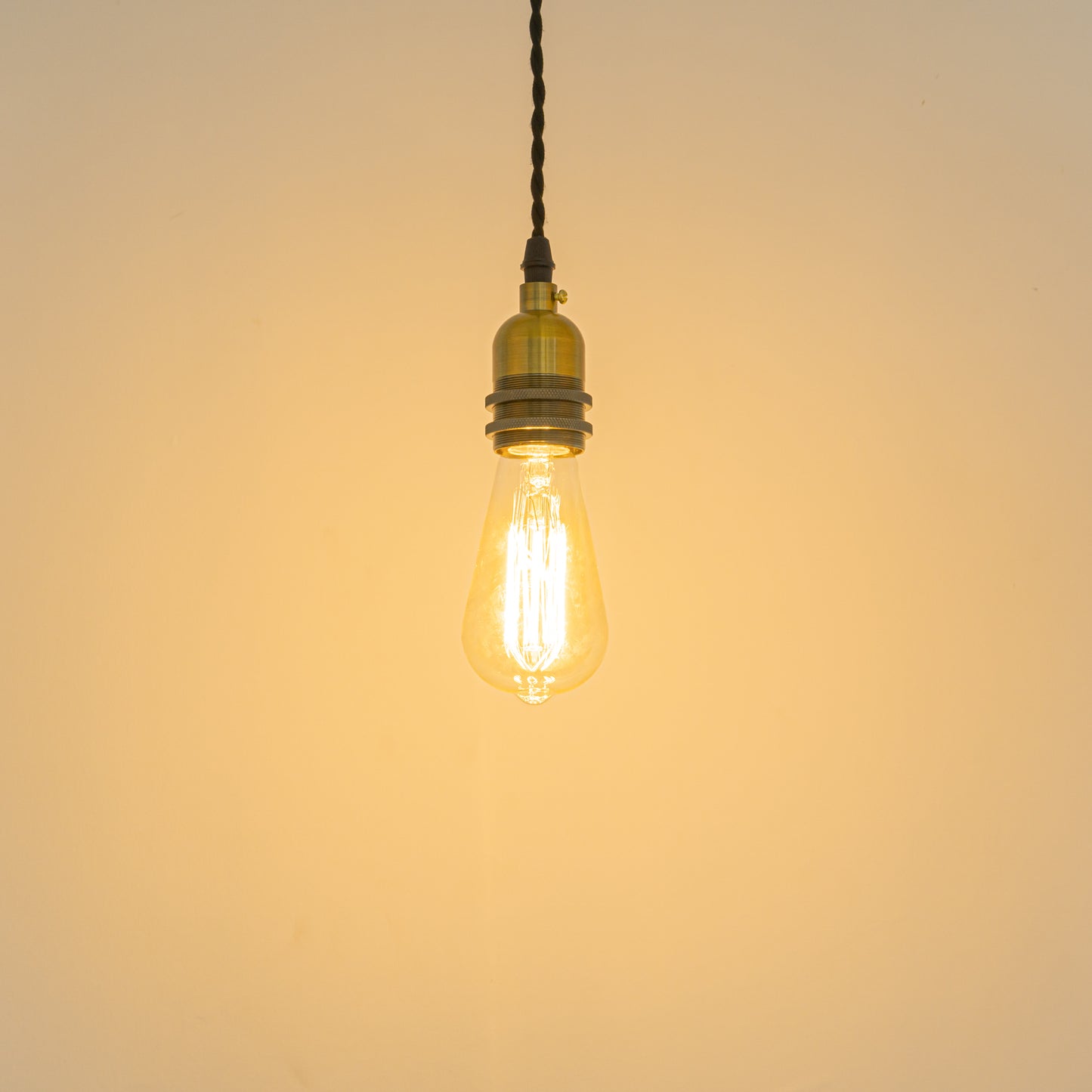 FSLIVING Light Socket with Cord Storage Cup Retro 1 Light Pendant Twisted Cord Brass Plated Old Finish Interior Lighting Cafe LED Bulb Compatible Light Socket Duct Rail Light Lighting Rail Light E26