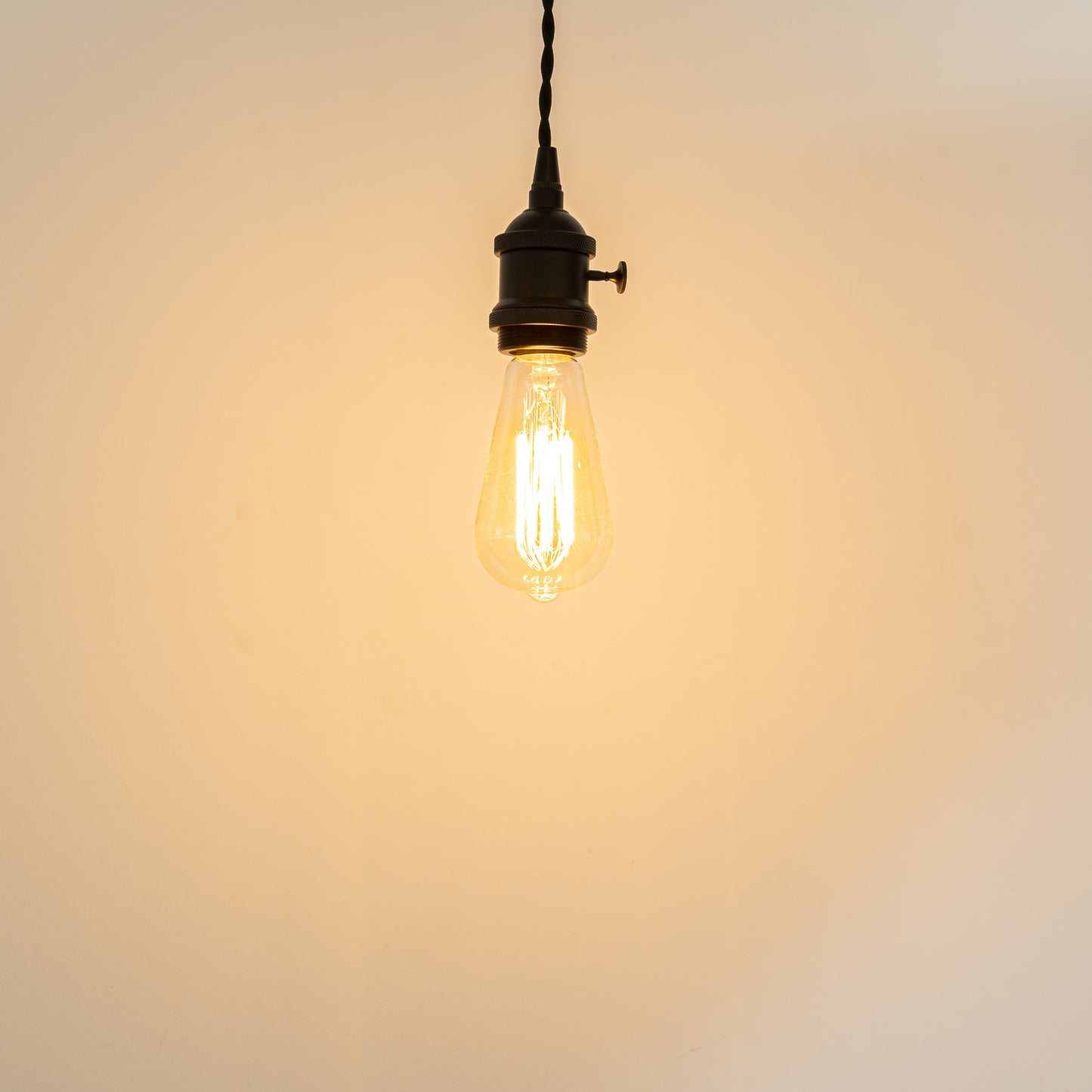 FSLIVING マットブラック スイッチ付き 引掛けシーリング式 30cm~400cm 1灯ペンダント インテリア照明 カフェ LED電球対応 シーリングライト