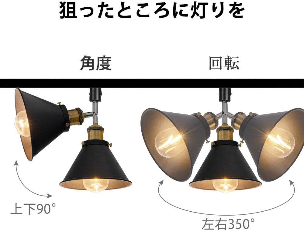 FSLiving スポットライト 配線ダクトレール用 角度調節可能 E26 ライティングレール レールライト 天井照明 おしゃれ 照明器具 ダイニング リビング用 居間用DZ-18X10-WXTGD