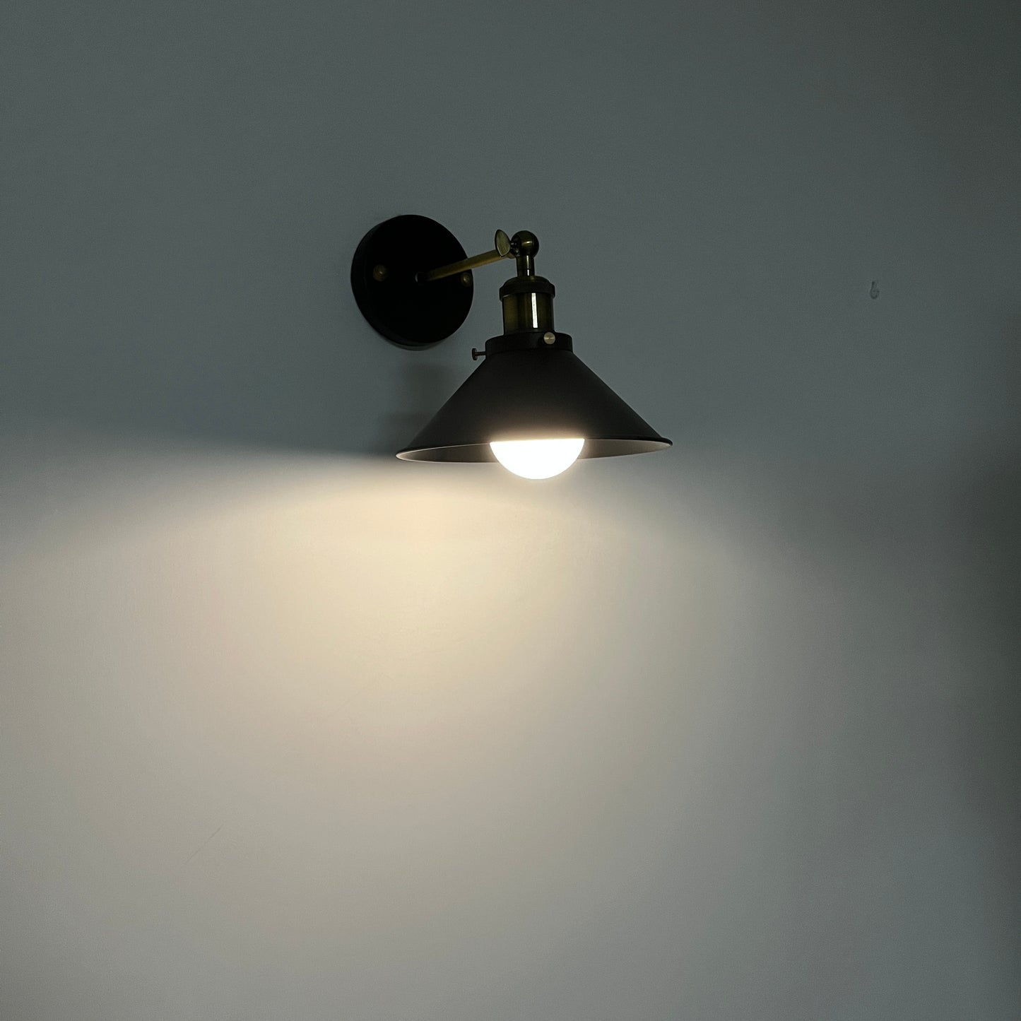 FSLiving 充電式LED電球 リモコン付き 5W 調光調色 40W白熱電球形相当 広配光タイプ 省エネ バッテリー内蔵 非常灯 非常用電球 非常用ライト キャンプライト キャンプ照明 懐中電灯 防災 停電 キャンプ用品 LED電球 応急ライト E26