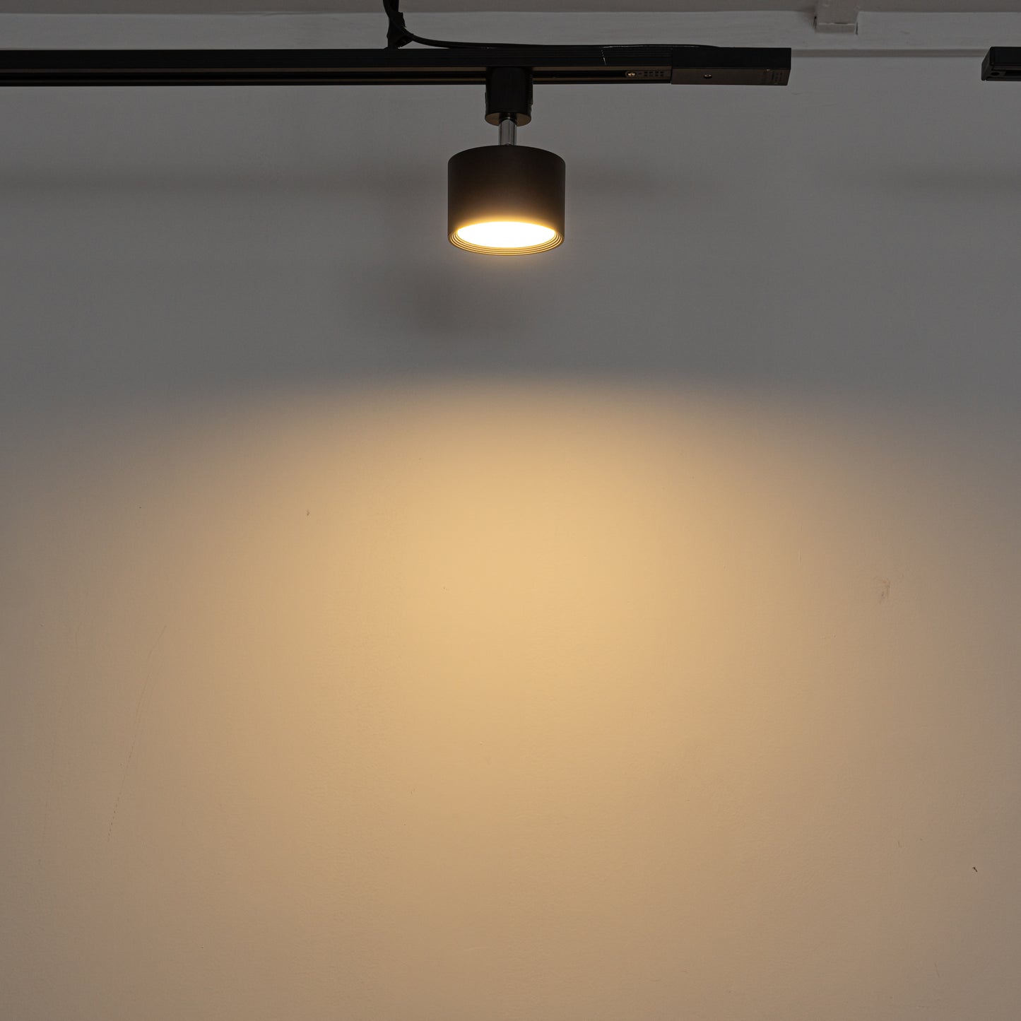 FSLiving 9W(100W相当) ダウンライト リモコン付き 調光 調色 角度調節可 LED ライティングレールライト LED内蔵 スポットライト ライティングレール照明 天井 ダイニング リビング用