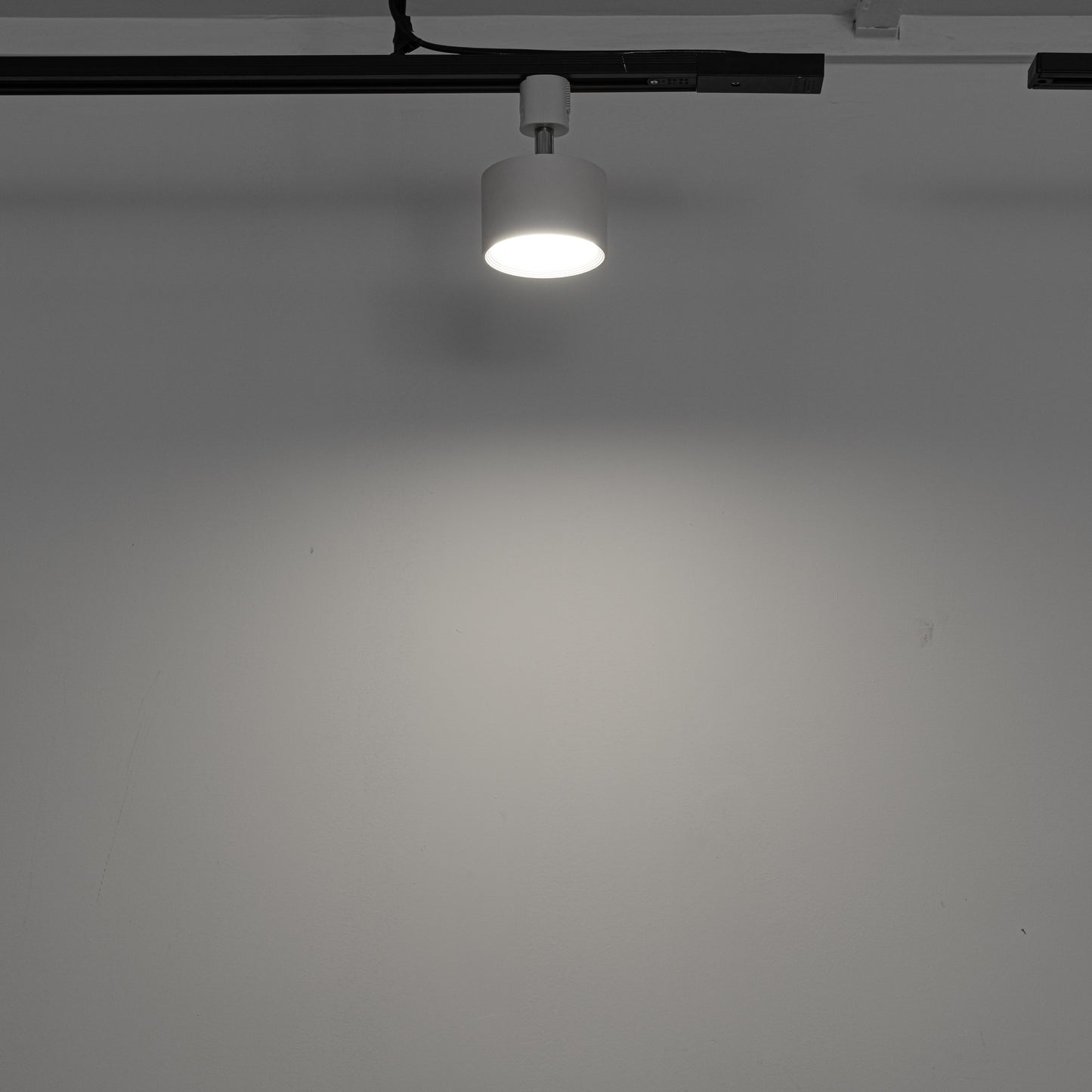 FSLiving 9W(100W相当) ダウンライト リモコン付き 調光 調色 角度調節可 LED ライティングレールライト LED内蔵 スポットライト ライティングレール照明 天井 ダイニング リビング用