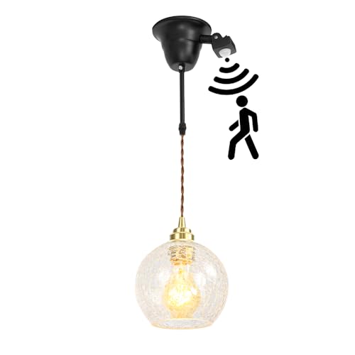 FSLiving ペンダントライト センサー機能 真鍮ソケット 人感センサー シーリングライト 取り付け便利 点灯時間調整 トイレ照明 玄関照明 E26口金  省エネルギー 自動的点灯消灯