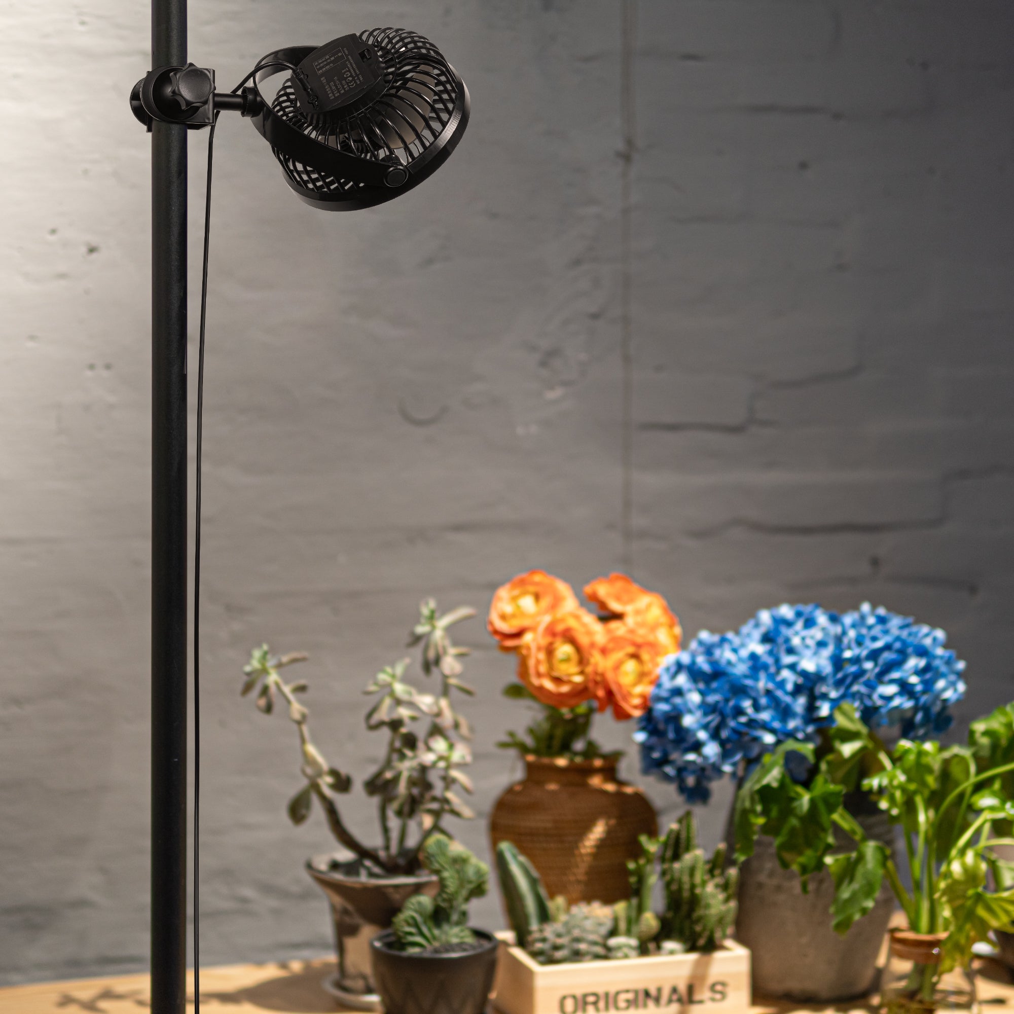 STGGTS 送風機 植物用サーキュレーター クリップ式 コード長さ180cm on