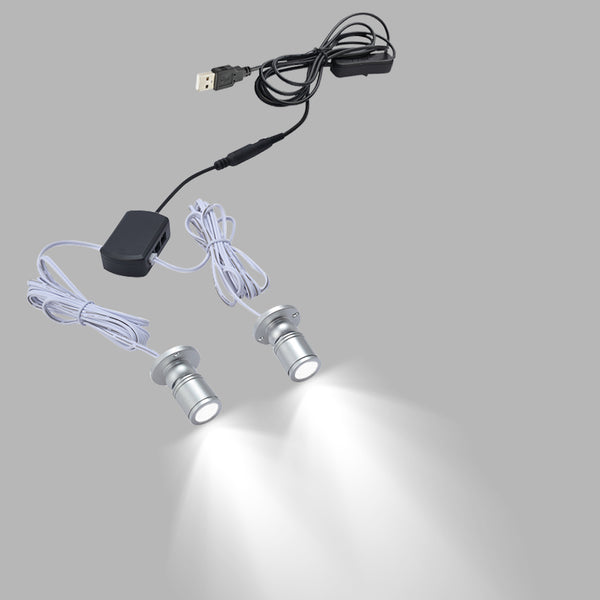 FSLiving Beleuchtungseinheit, 2 Lichter, dimmbar, Mini-Strahler, Schmuckvitrine, Display, Beleuchtungsausrüstung, schwarze Schale, LED-Einheit, Beleuchtungsset, Mini-Pflanzenlicht, LED-Strahler