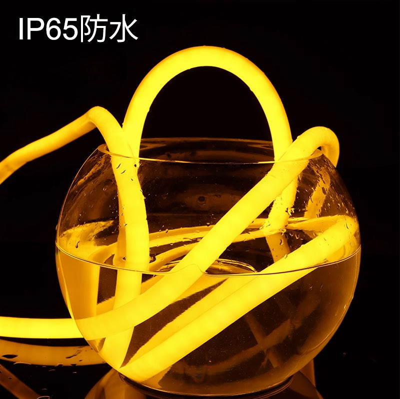 fsliving 10メートル 360ネオンライト 発光ネオン 防水 切断可 超輝度 360度光るLEDネオン DC24V