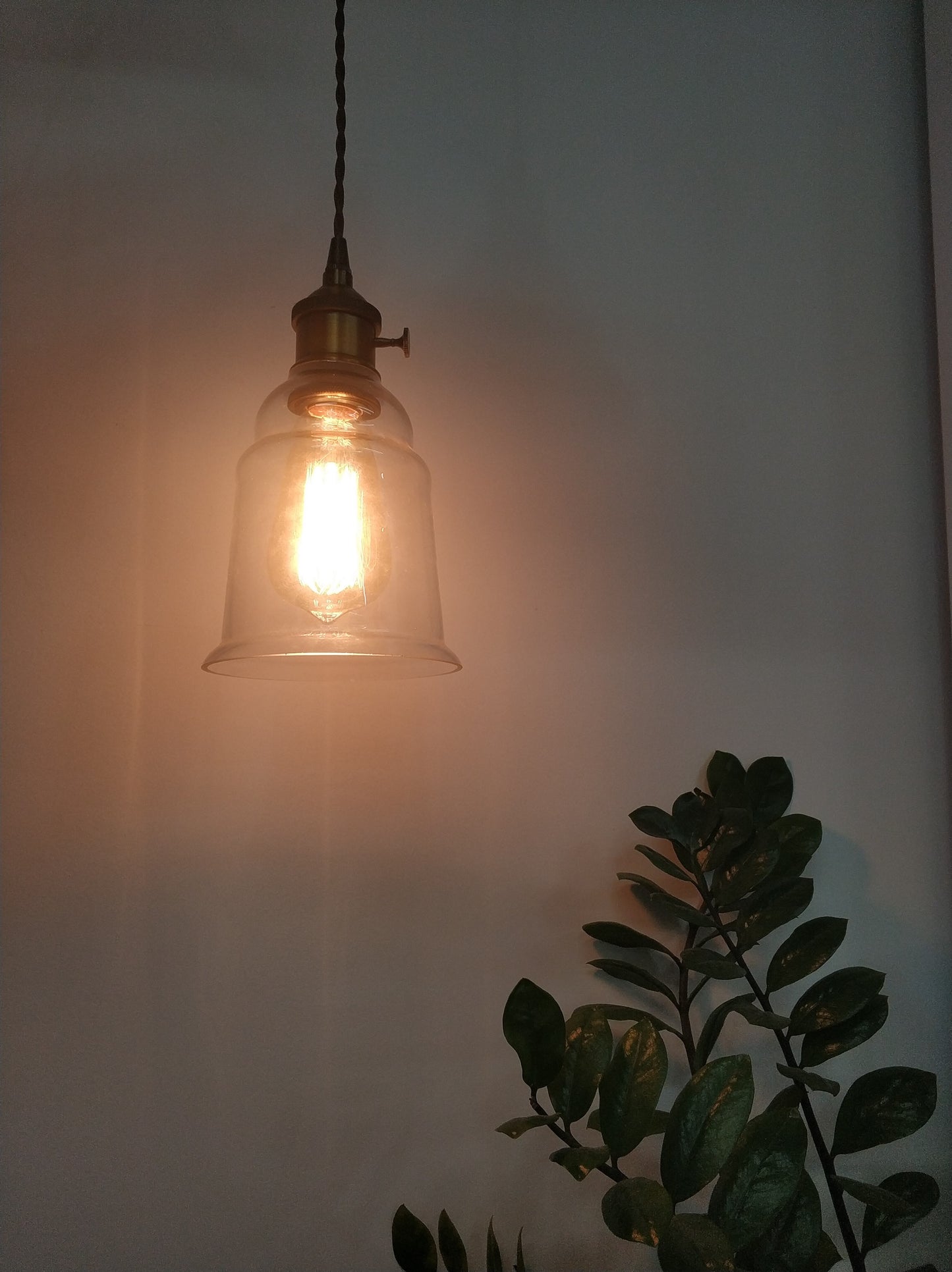 FSLIVING Outlet Type Switch Cord Brown Retro 1 Light Pendant Twisted Cord Interior Lighting Cafe LED Bulb Compatible E26